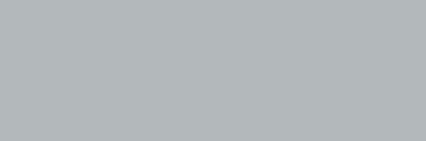 B10313(LIGHT GRAY)