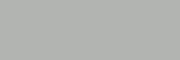 B10316B(LIGHT GRAY)