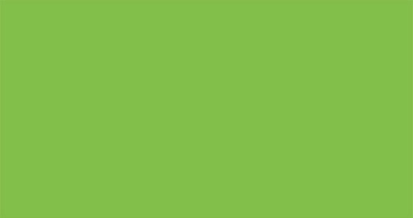 B7504(APPLE GREEN)