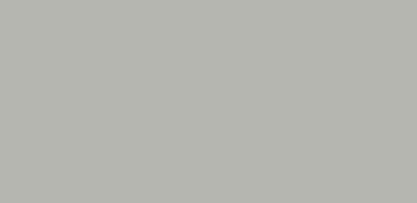 B75154A(LIGHT GREY)