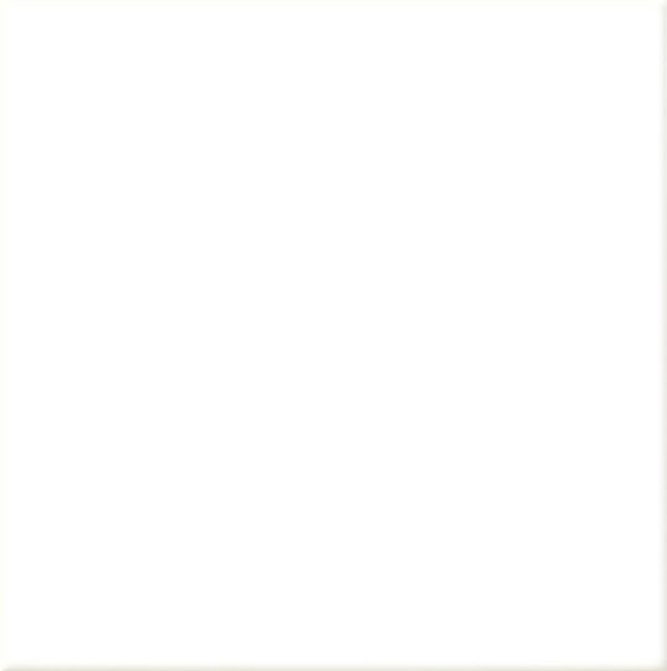 WB20002(WHITE)